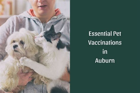 pet vaccinations mcdonough|PetVet .
